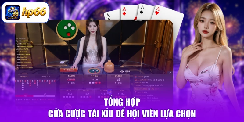 Tổng hợp cửa cược tài xỉu để hội viên lựa chọn